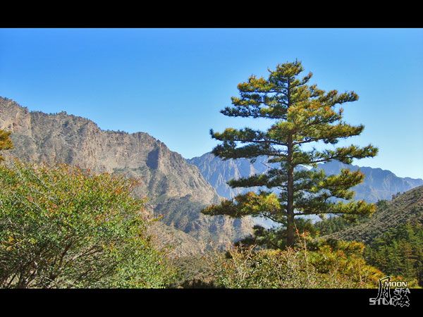 贺兰山，偶祖先和岳飞同学pk过的地方